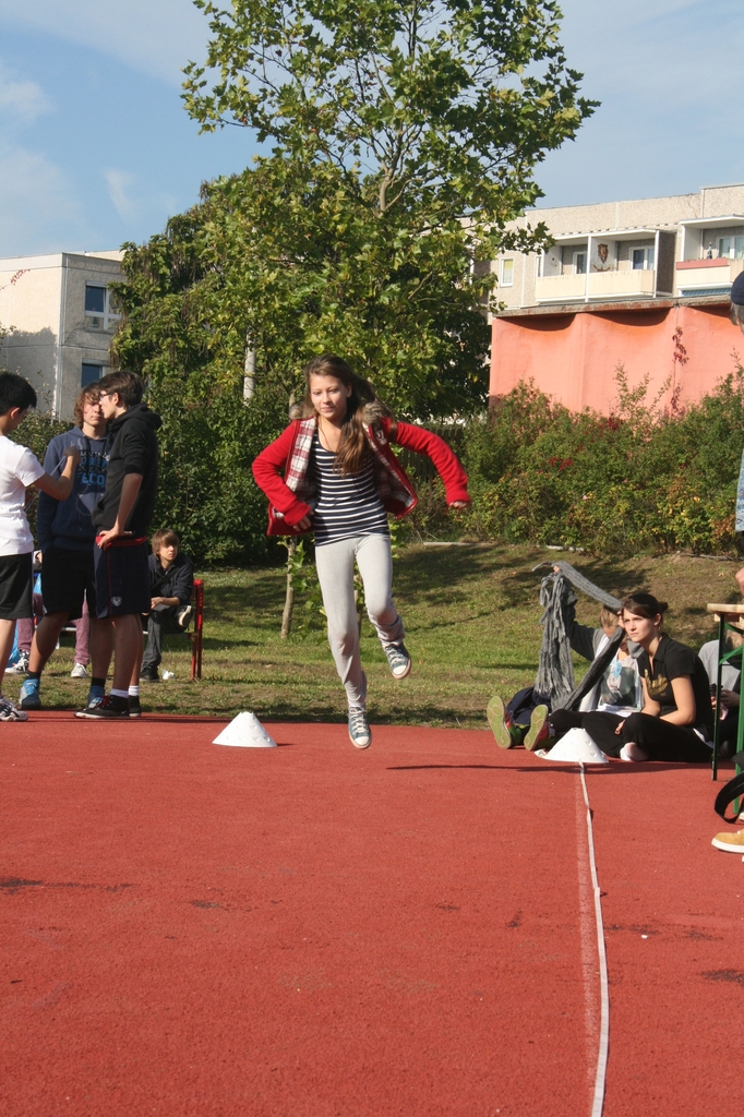 sf3 (24)